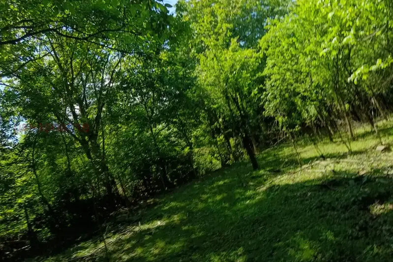 Plot in Lovech, Yablanica