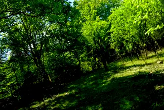 Парцел в Ловеч, Ябланица