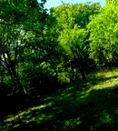 Парцел в Ловеч, Ябланица