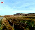 Снимка 3 — Промишлена сграда в Студентски