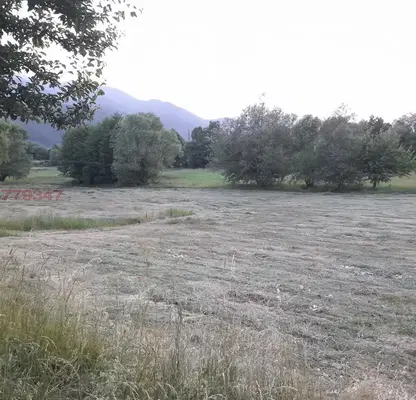 Photo 2 — Agricultural Land in Oblast Blagoevgrad, Dobrinishte