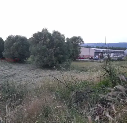 Photo 3 — Agricultural Land in Oblast Blagoevgrad, Dobrinishte