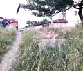 Снимка 4 — Земеделски имот в Благоевград, Добринище
