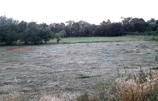 Земеделски имот в Благоевград, Добринище