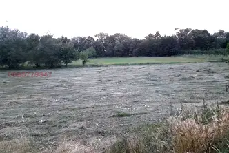 Земеделски имот в Благоевград, Добринище