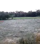 Земеделски имот в Благоевград, Добринище