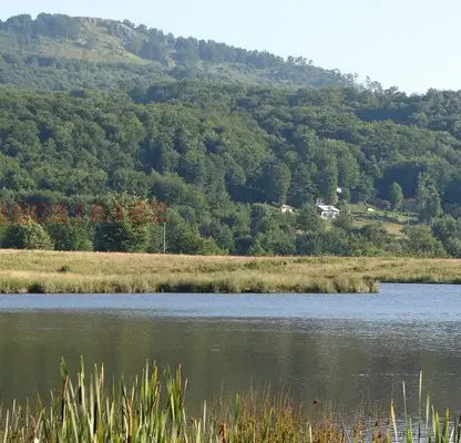 Photo 2 — Arable Land in Sofia, Bov