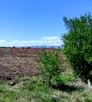 Земеделски имот в Пловдив, с. Черничево
