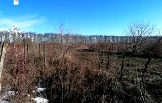 Земеделски имот в Добрич, с. Сенокос