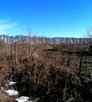 Земеделски имот в Добрич, с. Сенокос