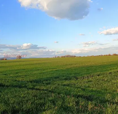 Снимка 5 — Земеделски имот в Стара Загора, с. Загоре