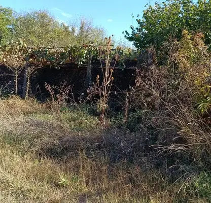Photo 3 — House in Oblast Veliko Tyrnovo, Gorski Goren Trymbesh