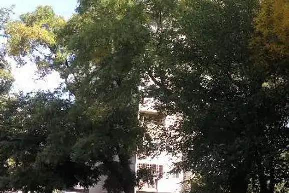 Двустаен апартамент с тераса в Кършияка, Пловдив