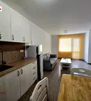 Обзаведен двустаен апартамент с асансьор в Кючук Париж, Пловдив