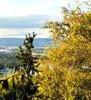 Двустаен апартамент във Варна, м-т Зеленика
