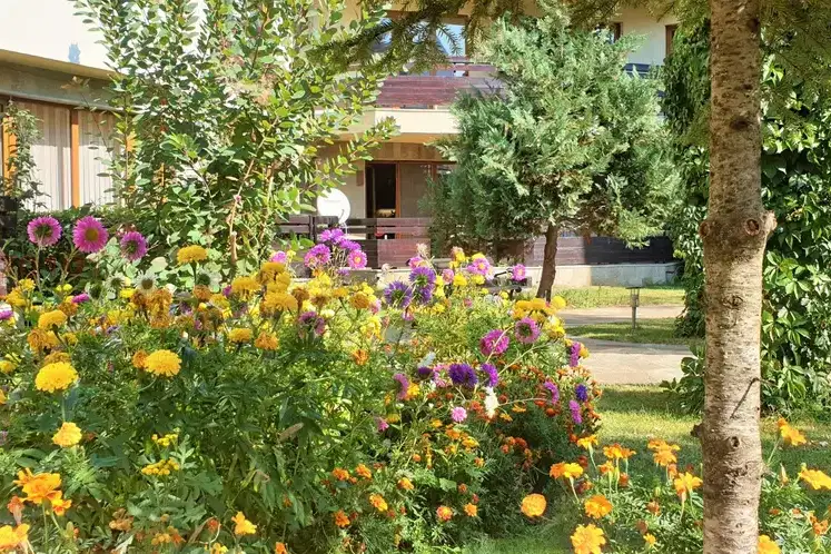 Двустаен апартамент с тераса в затворен комплекс в Банско