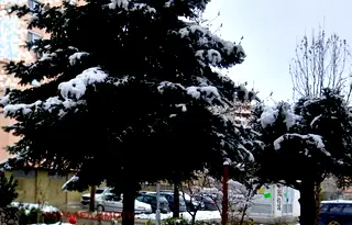 Магазин в Пловдив, Тракия