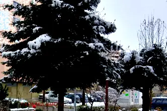 Магазин в Пловдив, Тракия