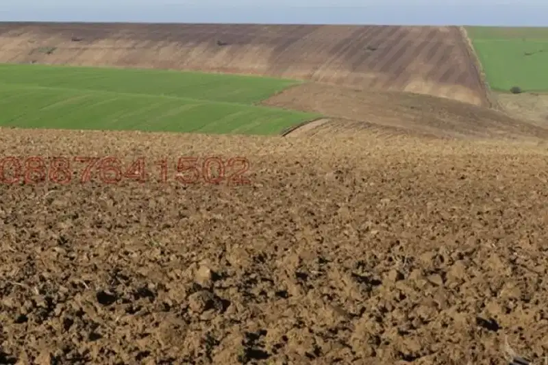 Arable Land in Haskovo, Velikan