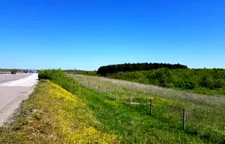Земеделски имот в Стара Загора, с. Черна гора