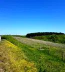Земеделски имот в Стара Загора, с. Черна гора