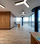 Офис в София, Враждебна