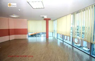 Офис в София, Враждебна