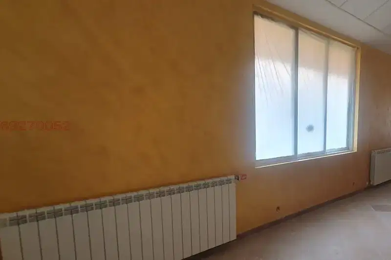 Офис в София, Елин Пелин