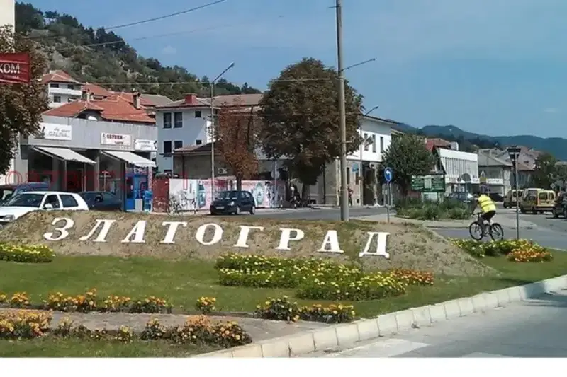 Plot in Oblast Smolyan, Злато