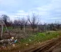 Снимка 2 — Парцел в Търговище, Попово