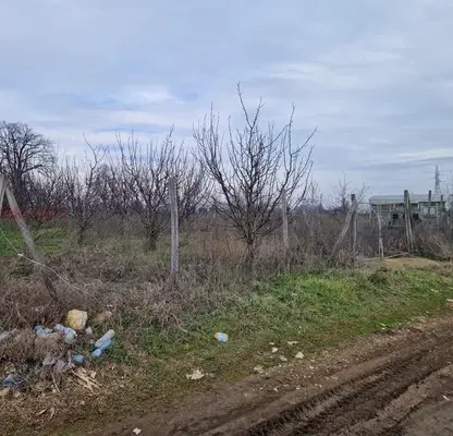 Photo 2 — Plot in Oblast Tyrgovishte, Popovo