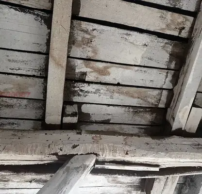 Photo 5 — Warehouse in Sofiya, Centyr