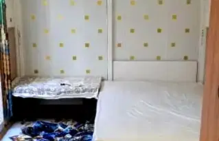 Стая в София, Левски