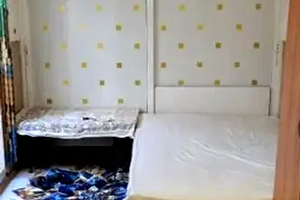 Стая в София, Левски