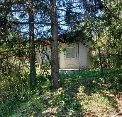 Photo 2 — Plot in Sofiya, Shtyrkelovo Gnezdo