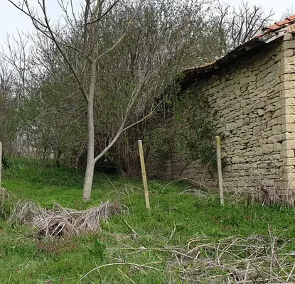 Снимка 3 — Парцел в Шумен, с. Панайот Волово