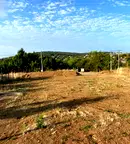 Парцел в Стара Загора, с. Малка Верея