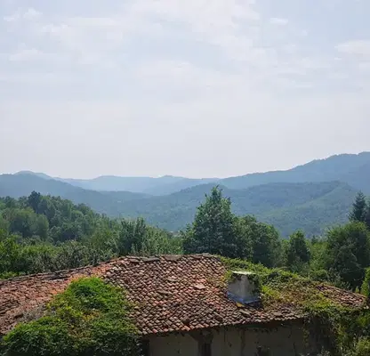 Photo 2 — Plot in Oblast Veliko Tyrnovo, Elena
