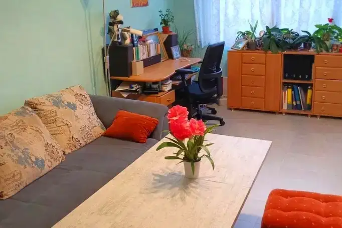 Многостаен апартамент в Стара Загора, Ремиза