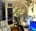 Снимка 4 — Двустаен апартамент с южна тераса в кв. Гагарин, Пловдив