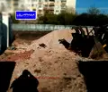 Снимка 2 — Двустаен апартамент с югозападно изложение в Люлин 8, София