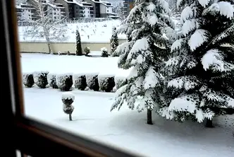 Двустаен апартамент в Благоевград, Разлог