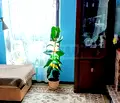 Снимка 3 — Двустаен апартамент в Бургас, Свети Влас