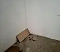 Снимка 4 — Гараж/Паркомясто в Търговище, Център
