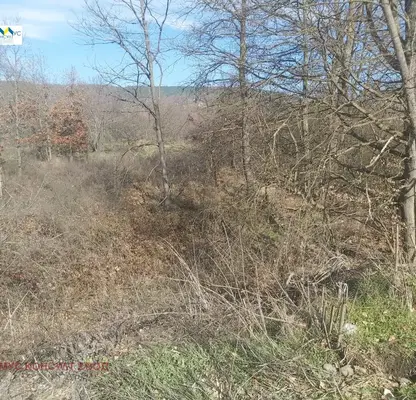 Photo 3 — Agricultural Land in Oblast Lovech, Gumoshtnik