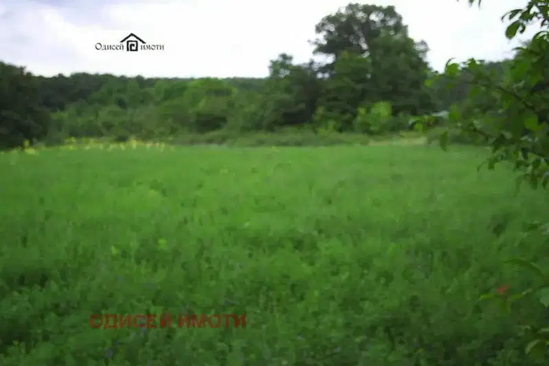 Agricultural Land in Oblast Varna, Dolishte