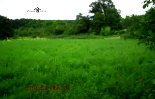 Земеделски имот във Варна, с. Долище