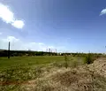 Снимка 3 — Земеделски имот в Перник, Перник