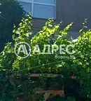 Къща в Банкя