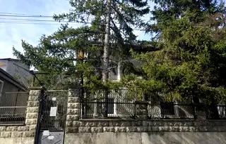Къща в Шумен, Дивдядово